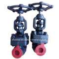 API602 Forged Carbon Steel A105 Thread End NPT Globe Valve